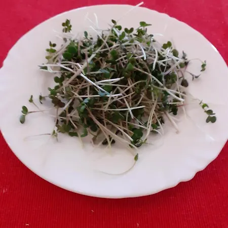 Akropolis, Eco Breakfasts From Farm 마리안스케 라즈네