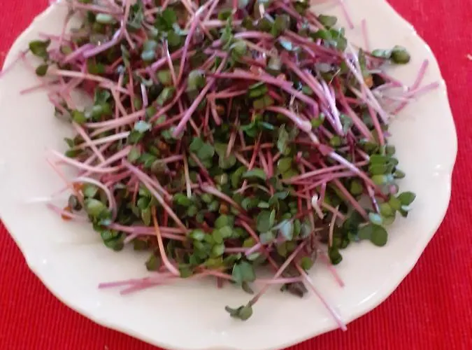 Akropolis, Eco Breakfasts From Farm Mariańskie Łaźnie