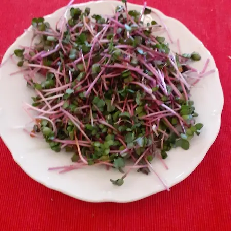 Akropolis, Eco Breakfasts From Farm Mariënbad