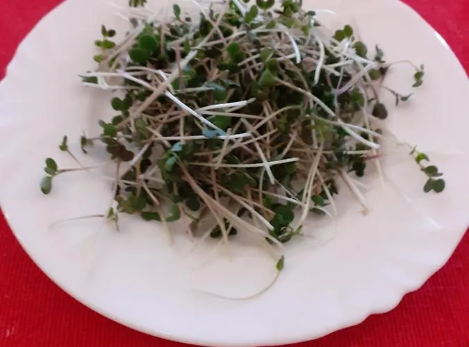 Akropolis, Eco Breakfasts From Farm Mariënbad